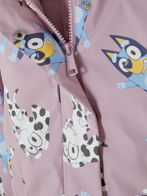 Capa Bluey
